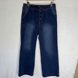 9th & Main Petites Jeans Women's 10P Dark Blue Denim Button Fly Surplus Pockets